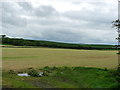 Farmland at Stoneykirk