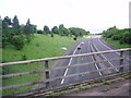 Crossing the M11 Near Newport