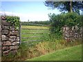 Field Gateway, Llanteg