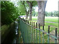 Norbury Brook and Thornton Heath Recreation Ground