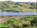 NM6626 : Shore of Loch Spelve by Fred Howard