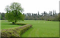 Pasture south-west of Newbridge-on-Wye, Powys