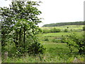 View from Forest Road just below Torr Dubh Mor