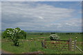 Farmland near Rankinston