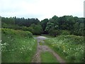 Track and Footpath Approaching the A619 Road