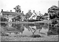 The Pond at Fringford