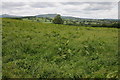 Farmland near Coed Morgan