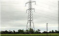 Pylon and power lines, Kingsmoss, Newtownabbey (1)