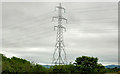 Pylon and power lines, Kingsmoss, Newtownabbey (2)