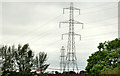 Pylons and power lines, Kingsmoss, Newtownabbey (3)