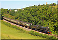 Steam train at Kentsford