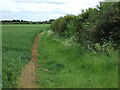 Bridleway towards Saxby Cliff