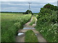 Farm track off the A631