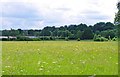 Rugby pitch, Stourport-on-Severn