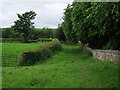 Footpath in Ribchester