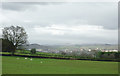 SO0360 : Pasture overlooking Llandrindod Wells, Powys by Roger  D Kidd