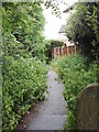 SE1226 : Footpath - Northedge Park by Betty Longbottom