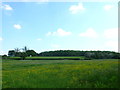 SP2958 : Countryside near Ashorne by Nigel Mykura