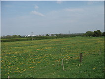 SJ3765 : Grassland at Mill Farm by John Haynes
