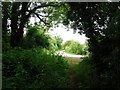 Path leaves the lane by Ten Acre Cottages