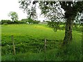 Fernaghandrum Townland