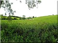 Tullanafoile Townland