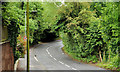 J2767 : The Derriaghy Road, Derriaghy by Albert Bridge