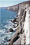 SZ0276 : Cliffs at Swanage by Ian Taylor