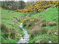 Carron Water in spring