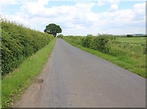 SP1550 : Road near Rumer Hill Farm by David P Howard