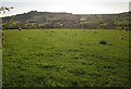 Sheep pasture, Yard Farm