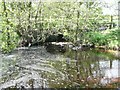 Bridge over Titlington Burn