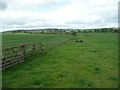 Fence between pasture and arable land