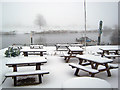 Snowy day at the Muskham Ferry