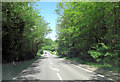 A267 passes through Chase Wood