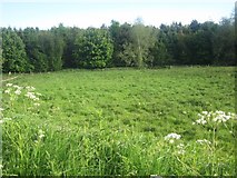 NU0329 : Grassland near Hetton House by Graham Robson