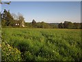 Meadow by Post Lane