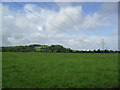 Farmland near Easter Compton