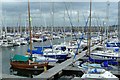 Yachts in Troon Marina