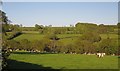 Umborne Brook valley