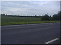 Farmland by the A10 near Melbourn