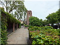 Ropers Garden and Chelsea Old Church