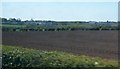 Ploughed land on the northern outskirts of Carrowdore