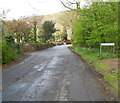 Ten Acre Wood, Margam Country Park