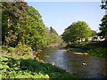 The River Coquet Below Rothbury