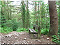 Bench in Sirhowy Valley Country Park