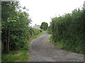 The lane at Trannack Farm