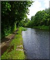 The Sheffield and Tinsley canal.