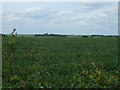 Farmland, Eastfields Farm