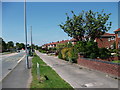 Typical ribbon development houses